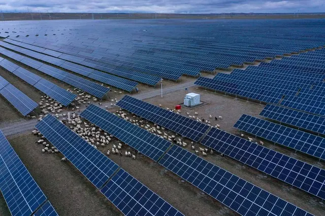 Solar photovoltaic plant in Qinghai. Xinhua, report published 9 June 2024.
