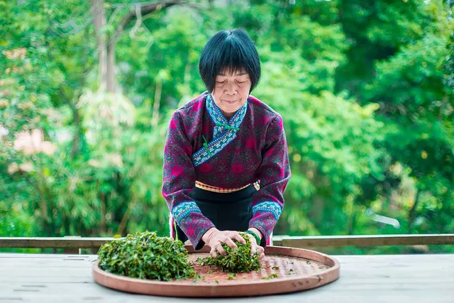 Tea-processing nomination photograph · 2022