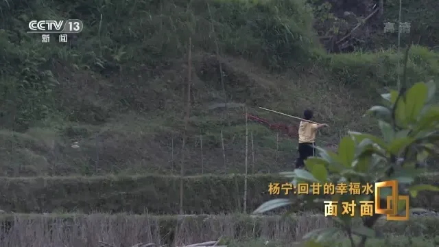 Programme frame from CCTV’s Yang Ning interview · 2022-10-23