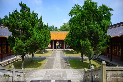 A tree-lined courtyard at Yuelu Academy, Changsha.