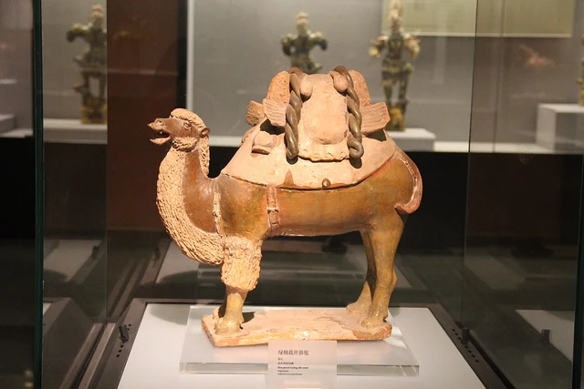 A Tang sancai ceramic camel with a damaged rider figure, displayed at Luoyang Museum.
