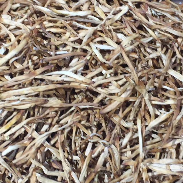 Dried daylily buds shown in close view.