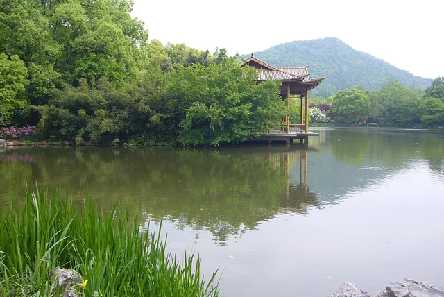 A pavilion beside the water and wetland vegetation in Xixi Wetland Park, Hangzhou.