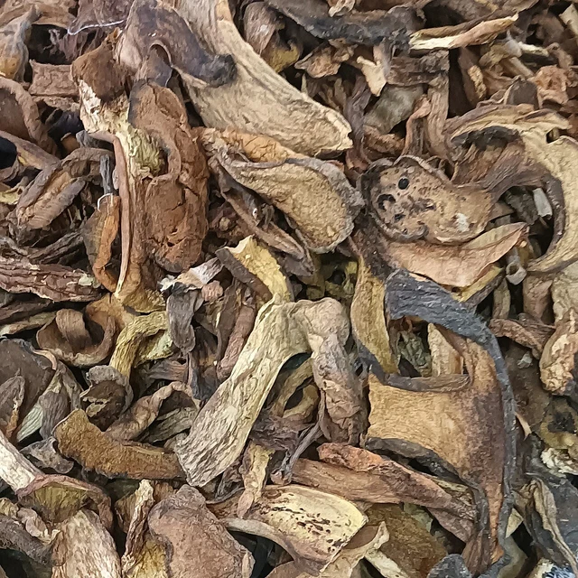 Dried Yunnan black-boletus mushroom pieces.