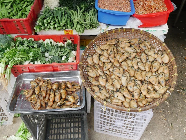 Dried oysters in trays at a Yuen Long food shop, photographed in 2021.