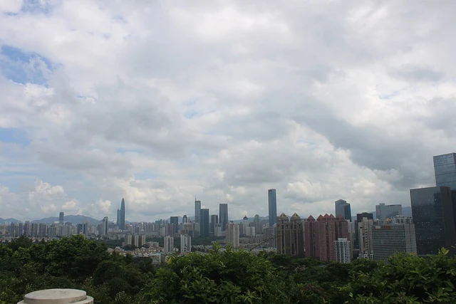 Shenzhen's Futian skyline beyond a wooded hillside in 2016.