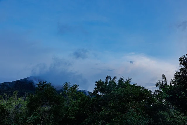 Wutong Mountain's cloud-covered wooded ridge in Shenzhen.