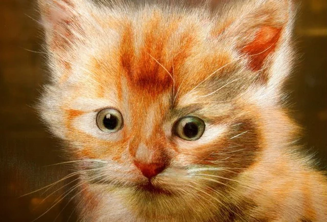 A detailed Suzhou embroidery depicting an orange kitten.