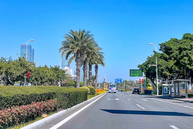 Palm trees and road signs on Huandao Road in Xiamen in January 2023.
