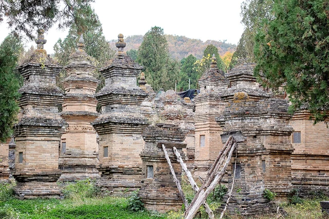 Shaolin Temple’s pagoda forest in Dengfeng, photographed in November 2024; not a kung-fu performance or a current training class.