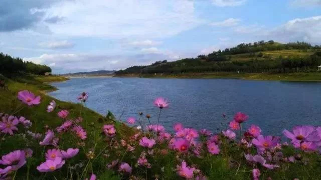 Lotus Lake at Lushaer in Xining’s Huangzhong district, in the 2022 China Tourism News route feature, with flowers on the bank and hills beyond.