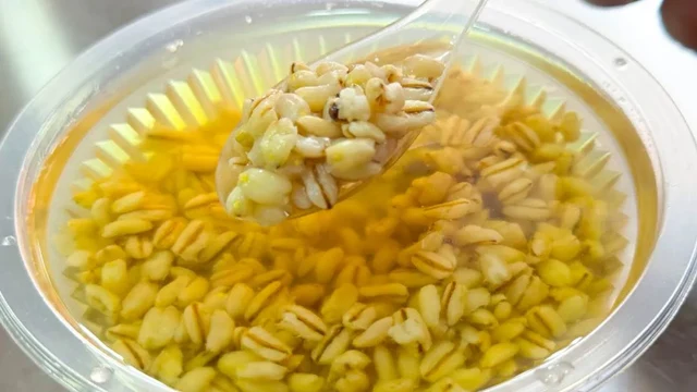 A clear bowl of tianpei fermented grains in golden liquid, with a spoon lifting intact grains; illustrated in Xining's official food feature published in May 2024. The restaurant and original photographer are not identified.