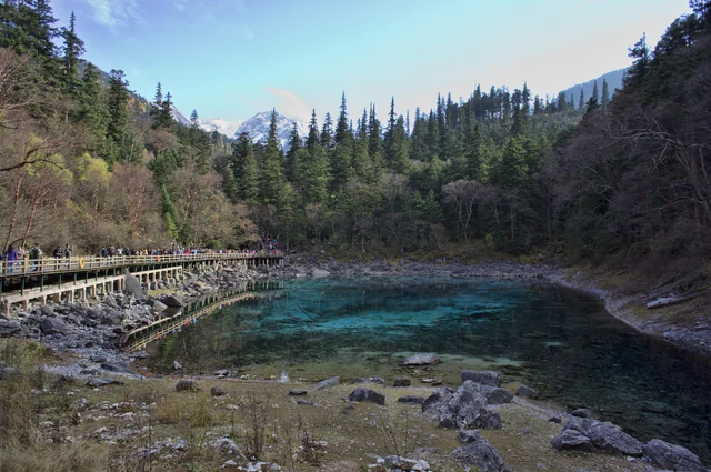 Clear turquoise water and autumn woodland at Five Colour Pond in Jiuzhaigou, Sichuan.