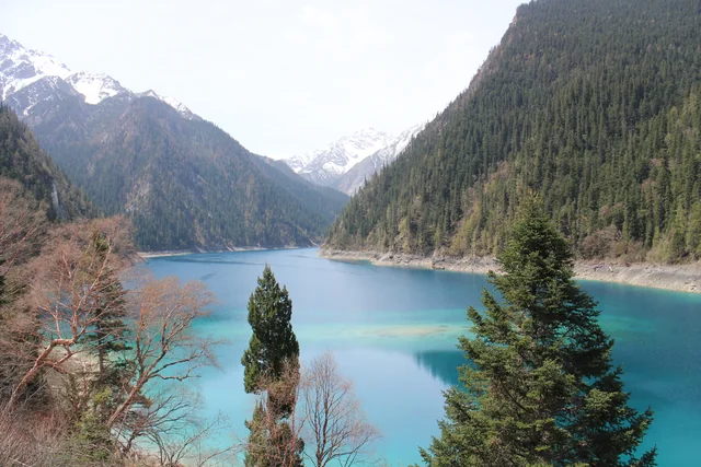 Snow-covered peaks rise beyond the clear blue water and forested shores of Long Lake in Jiuzhaigou, Sichuan.