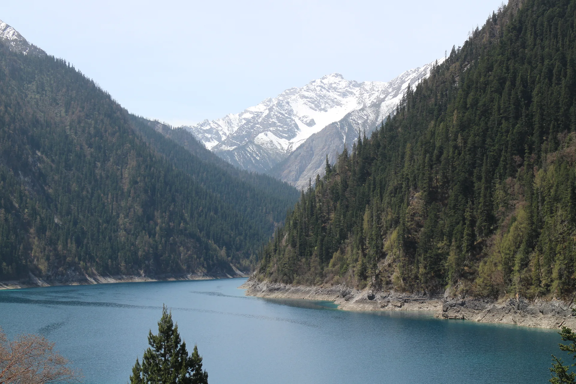 Snow peaks, evergreen forest and the blue waters of Long Lake in Jiuzhaigou.