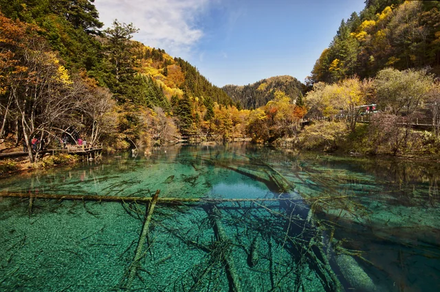 Turquoise water and autumn woodland at Five Flower Lake.