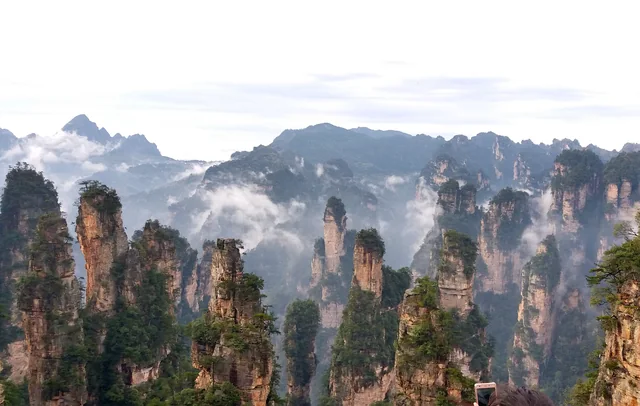 Sandstone pillars and wooded ridges rise through the clouds in Zhangjiajie, Hunan.